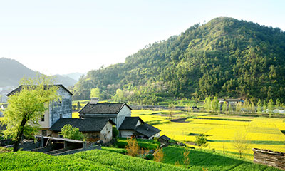 Rural Wastewater Treatment