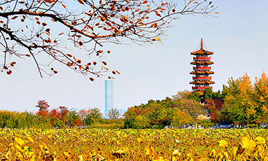 Xuzhou Low-carbon Environmental Protection Engineering Co.,LTD